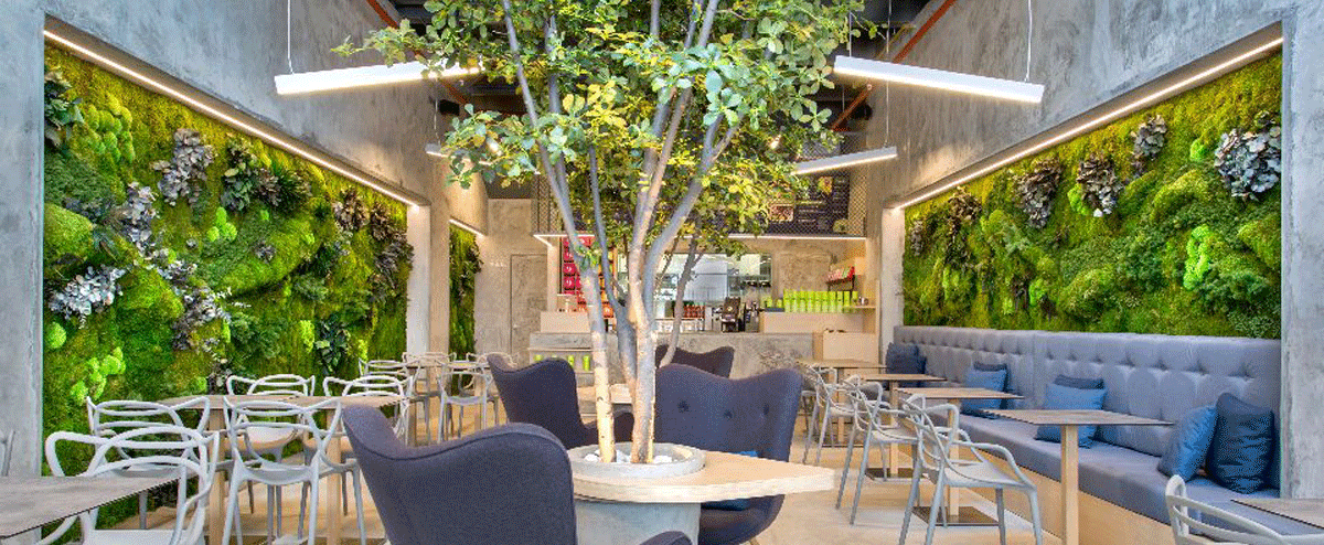 Không gian nhẹ nhàng với mẫu thiết kế tường cây trong nhà hàng- HOME68