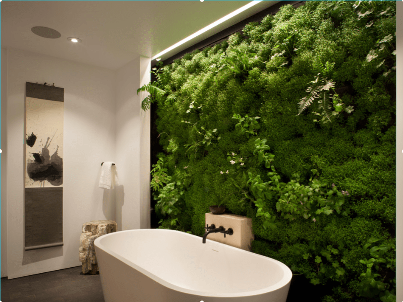 Đa dạng với mẫu thiết kế tường cây xanh trong nhà tắm