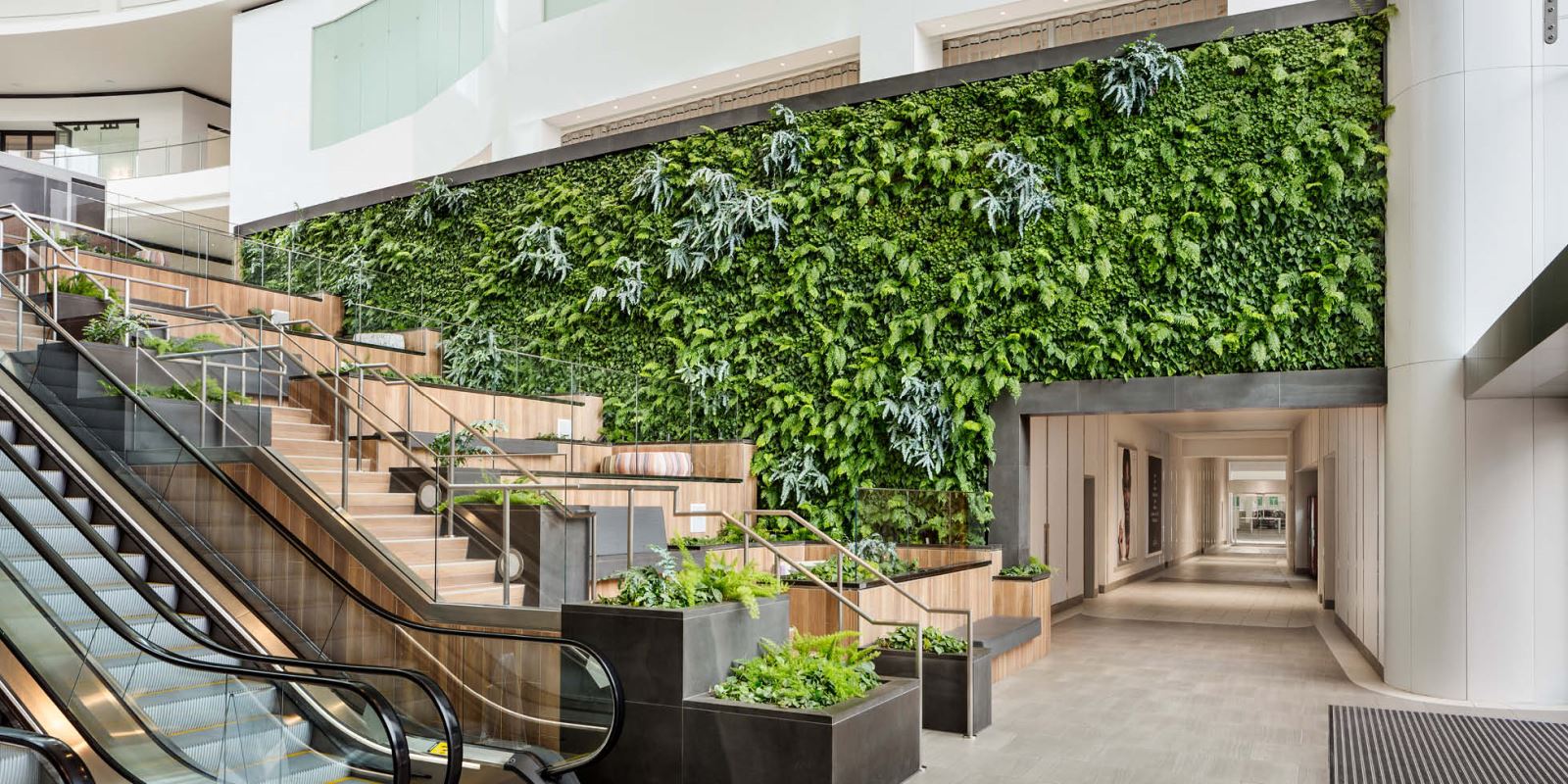 Mẫu thiết kế tường cây xanh đầy thu hút trong công ty, văn phòng