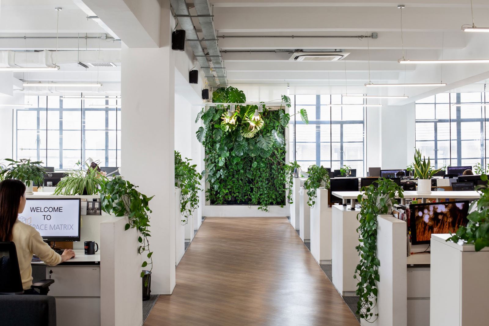 Văn phòng công ty với nhiều cây xanh tạo ra không khí làm việc thoải mái, dễ chịu- HOME68
