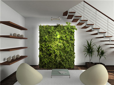 Thổi hồn cho không gian sống với thiết kế tường cây xanh trong nhà 